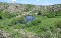 Семинар по йоге - Актовский каньон (Николаевская область)