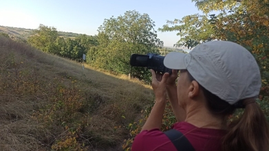 Снимок вдаль